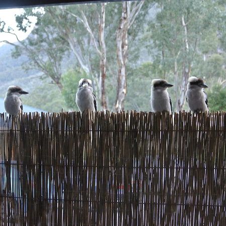 Kookaburra Motor Lodge Halls Gap Luaran gambar