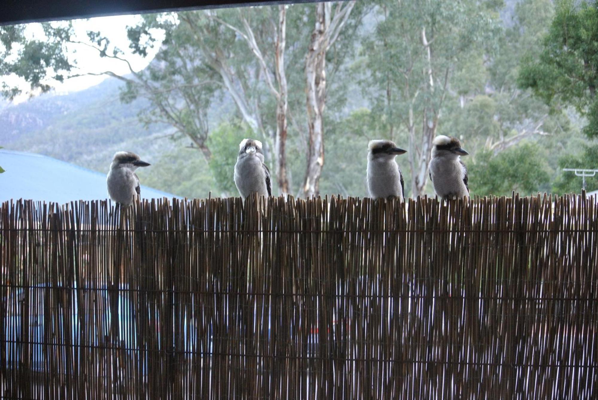 Kookaburra Motor Lodge Halls Gap Luaran gambar
