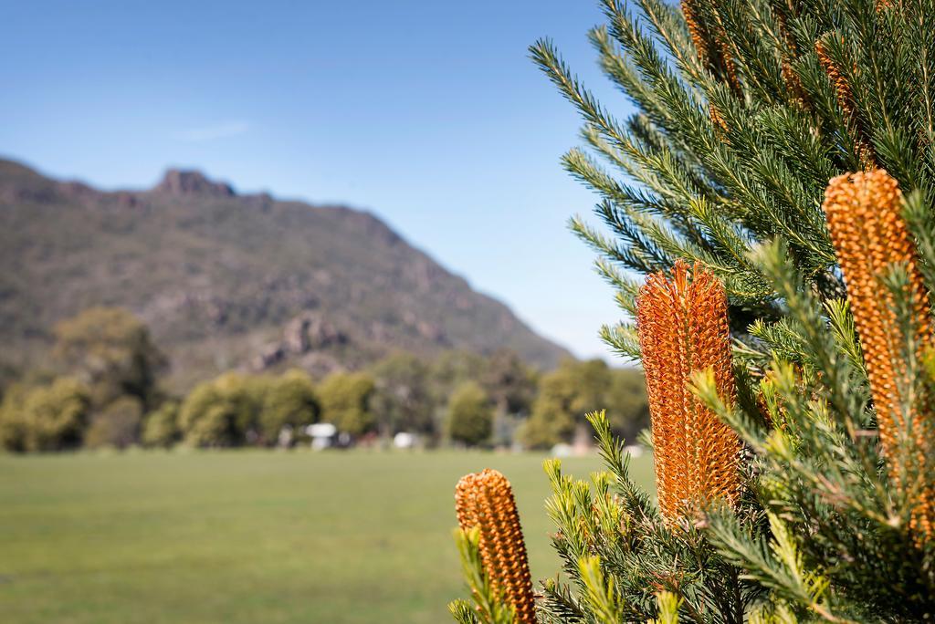 Kookaburra Motor Lodge Halls Gap Luaran gambar